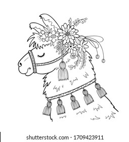 vector illustration alpaca animal for coloring, drawing for leisure and creativity