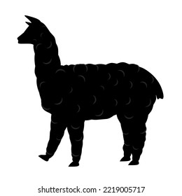 Vector illustration of an alpaca llama on a white background. Great for furry animal logos