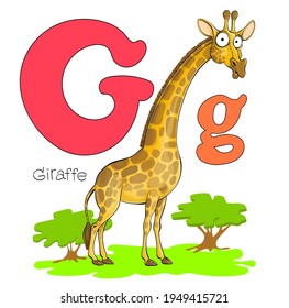 Vector illustration. Alphabet with animals. Big and capital letter G with a picture of a bright cute giraffe