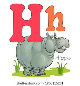 Vector illustration. Alphabet with animals. Large capital letter H with a picture of a bright, cute hippopotamus.