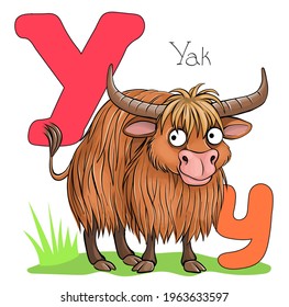 Vector illustration. Alphabet with animals. Large capital letter Y with a picture of a bright, cute yak.
