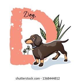 Vector illustration. Alphabet letter D with cute duchshund