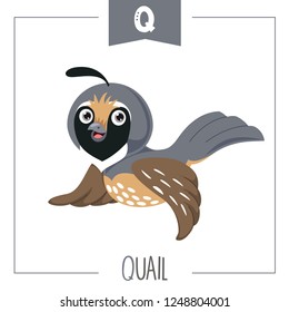 Vector Illustration Of Alphabet Letter Q And Quail