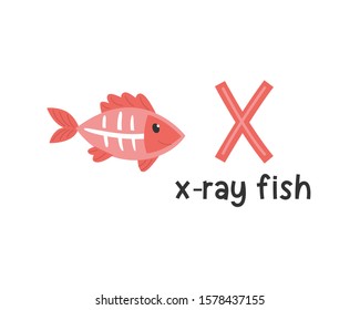 Vector illustration of alphabet letter X and x-ray fish. Cute animals alphabet for kids education. X for x-ray fish, Cute animal alphabet series