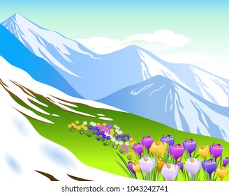 Vector Illustration. Alpine meadows. Spring landscape.