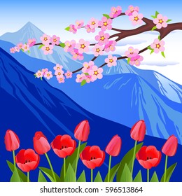 Vector Illustration. Alpine meadows. Tulip flowers.