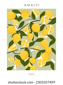 Vector illustration. Amalfi, Italy. Poster. Design for poster, banner, postcard. Print for t-shirt, cover, wallpaper. Lemon, lime, citrus.