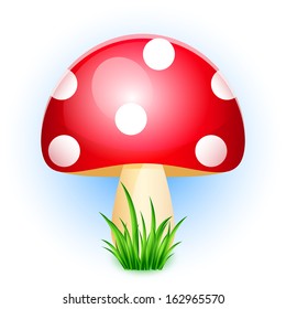 Vector illustration of amanita in grass