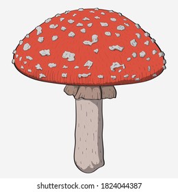 
Vector illustration. Amanita mushroom. Poisonous toadstool fly agaric. White spotted red mushroom. Illustration for web and print. Design for postcards, posters, flyers, websites and other uses.