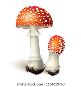 Vektorgrafik - Amanita-Pilze einzeln auf weißem Hintergrund. EPS10