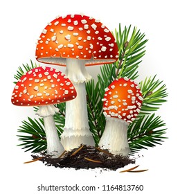 Vector illustration - amanita mushrooms set Isolated on white background. EPS 10