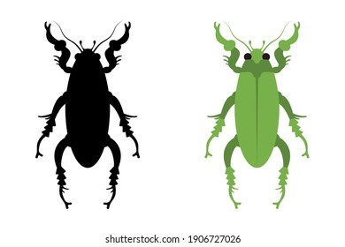 A vector illustration of an amazing jewel beetle.