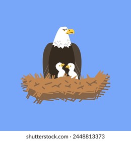 Vector illustration of an American bald eagle sitting in a nest with chicks on a blue background, demonstrating parental care in the wild. Isolated background.