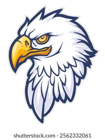 Vector illustration of American bald eagle head.