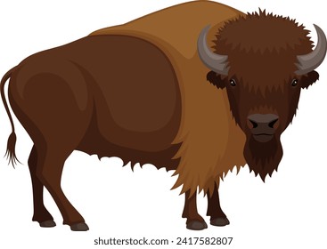 Vector illustration of an American bison, standing with head facing the viewer.