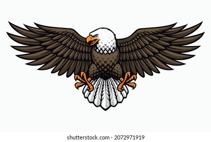 A vector illustration of an American Eagle.