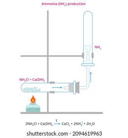 Vector Illustration Of Ammonia Production. Ammonia Release Diagram. Chemistry Infographic Of Ammonia.