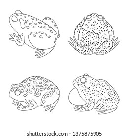 Vector illustration of amphibian and animal logo. Collection of amphibian and nature stock vector illustration.