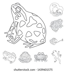 Vector illustration of amphibian and animal logo. Collection of amphibian and nature vector icon for stock.