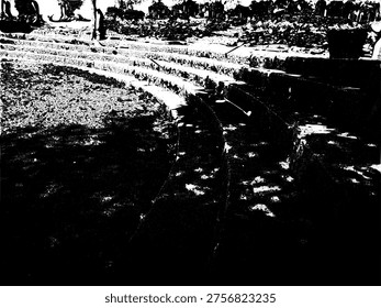 Vector illustration of an amphitheater stone seating. High contrast black and white stencil art of tiered circular steps. Gritty architectural texture for history and culture design projects.