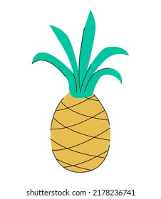 Vector illustration of ananas isolated on white background.