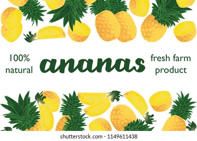 vector illustration of ananas and leaf design with lettering ananas background white and fruit and text fresh farm product 100% natural EPS10
