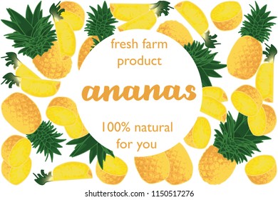vector illustration of ananas and leaf design with lettering ananas background white and fruit and text fresh farm product 100% natural for you EPS10