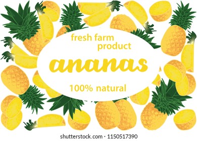 vector illustration of ananas and leaf design with lettering ananas background white and fruit and text fresh farm product 100% natural EPS10