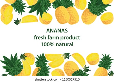 vector illustration of ananas and leaf design background white and fruit and text fresh farm product 100% natural EPS10