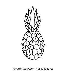 Vector illustration of ananas and vitamin symbol. Graphic of ananas and tropical stock symbol for web.