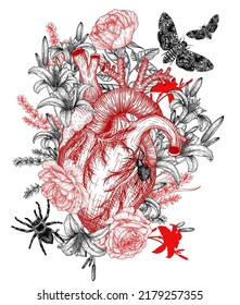 Vector illustration of anatomical human heart in flowers, spiders and moths in engraving style