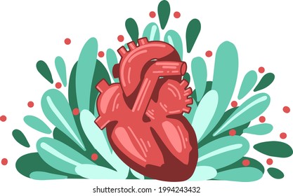 Vector illustration - anatomical image of human heart in front of stylized red flowers with green leaves. For medical presentations, decorations, stickers and adverts