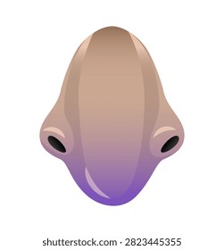Vector illustration of an anatomical large human or animal nose with nostrils. Facial feature design element isolated on white background.