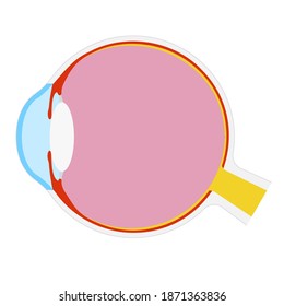 Vector illustration: anatomical structure of the eye.