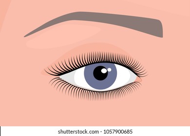 Vector illustration. Anatomy of a human eye. Close-up and macro view. For advertising and medical publications. EPS 10.