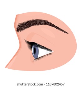 Vector Illustration. Anatomy Of A Human Eye, Side View. Close-up And Macro View. For Advertising And Medical Publications. EPS 8.