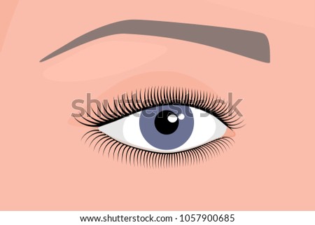Vector illustration. Anatomy of a human eye. Close-up and macro view. For advertising and medical publications. EPS 10.