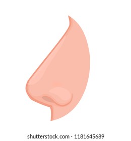 Vector illustration anatomy of a human nose. Vector illustration. Nose treatment concept.  Close-up and macro view, side view. For advertising and medical publications. EPS 10