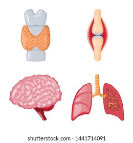 Vector illustration of anatomy and organ symbol. Set of anatomy and medical stock vector illustration.