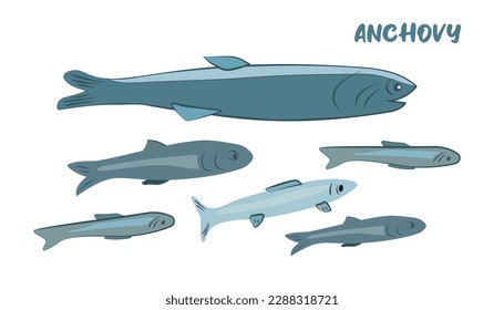 Vector illustration with Anchovy fish living in the Mediterranean Sea and the Atlantic Ocean. Gray and blue colors. Flat. For the menu design of fish restaurants, magazines, patterns.