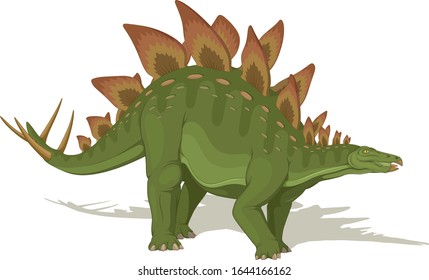 Vector illustration, ancient animal, dinosaur, stegosaurus on a white background.