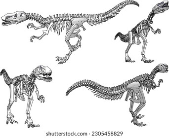 Vector illustration of ancient dinosaur skeleton cartoon illustration