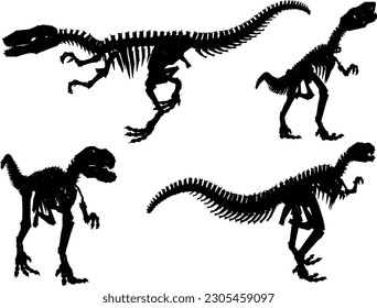 Vector illustration of ancient dinosaur skeleton cartoon illustration