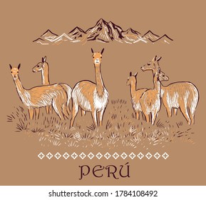 Vector illustration of Andean landscape with vicunas