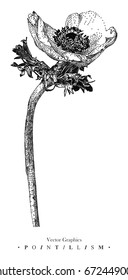 Vector illustration with anemone flower drawn by hand. Graphic drawing, pointillism technique. Botanical natural collection. Black and white floral element isolated on white