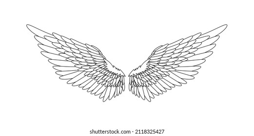 vector illustration of angel or bird wings line on white background