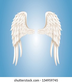 Vector illustration of angel wings on light blue background