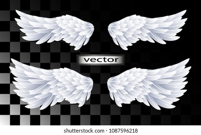 Vector illustration. Angel wings, white, isolated on transparent background, natural and fluffy options, consist of a set of snow-white feathers, realistic 3D image