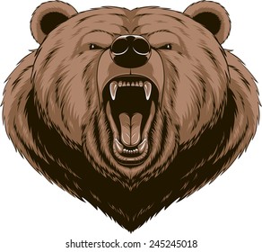 Vector illustration, Angry bear head mascot