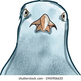 vector illustration of angry bird looking. selfie portrait